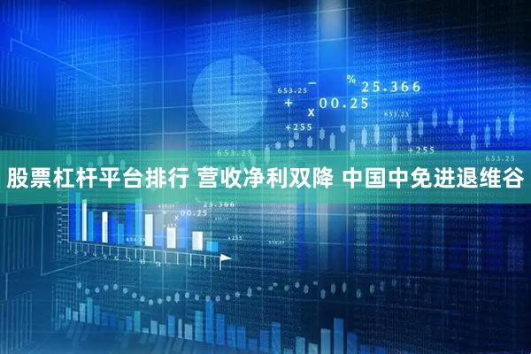 股票杠杆平台排行 营收净利双降 中国中免进退维谷
