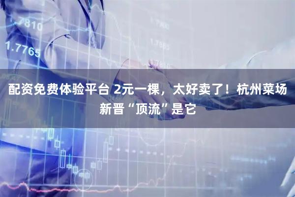 配资免费体验平台 2元一棵，太好卖了！杭州菜场新晋“顶流”是它