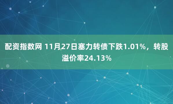 配资指数网 11月27日塞力转债下跌1.01%，转股溢价率24.13%